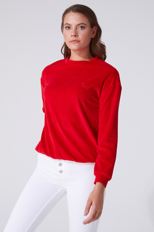 VELVET BICYCLE COLLAR LONG SLEEVE SWEATSHIRT 